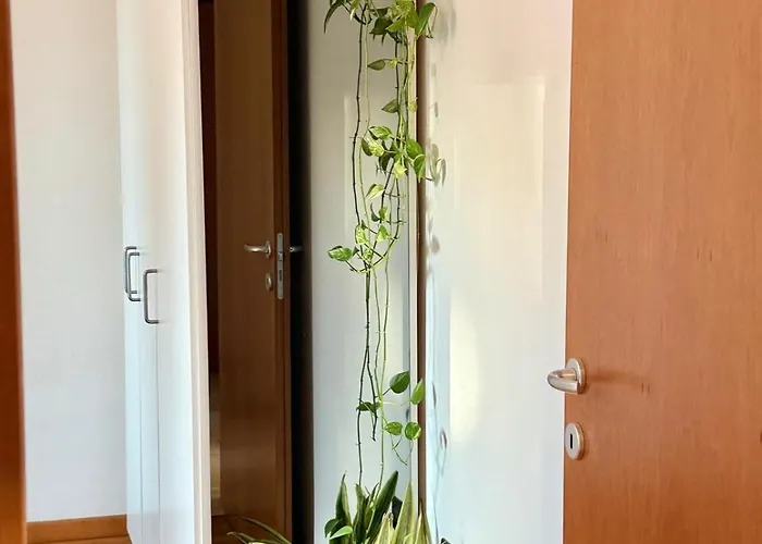 Enjoy - Ampio, Luminoso E Immerso Nel Διαμέρισμα